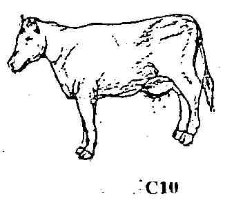 Spirit Games (Est. 1984) - Supplying role playing games (RPG), wargames rules, miniatures and scenery, new and traditional board and card games for the last 20 years sells [C10] Two cows by 