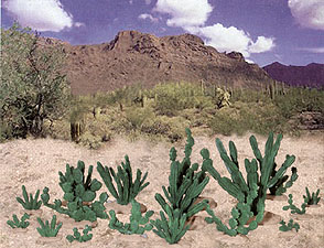 Spirit Games (Est. 1984) - Supplying role playing games (RPG), wargames rules, miniatures and scenery, new and traditional board and card games for the last 20 years sells [PG6508] Cactus #2 by 